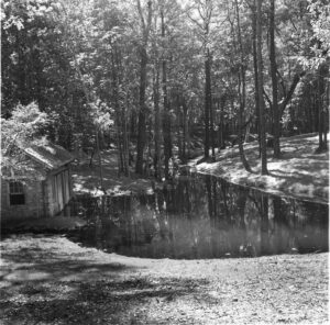 The Bellingraths' Delco system was housed in a small building in what is now the Asian American Garden.