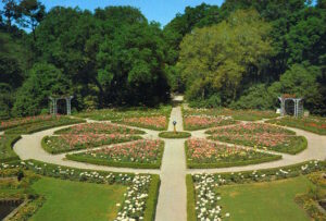 The original Rose Garden, designed to resemble the shape of Walter Bellingrath's Rotary Club pin. Mr. Bellingrath was a founding member of the Mobile Rotary Club, which marked its 100th anniversary in 2014.