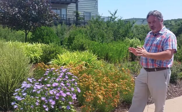 todd gesturing toward flowers