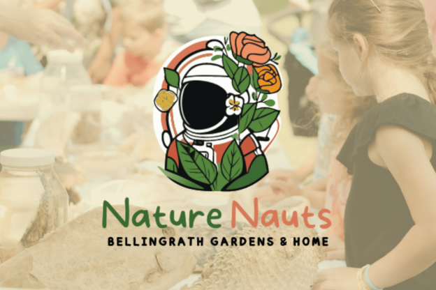 naturenauts graphic