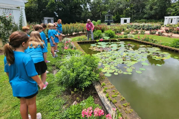 kids looking at small pond