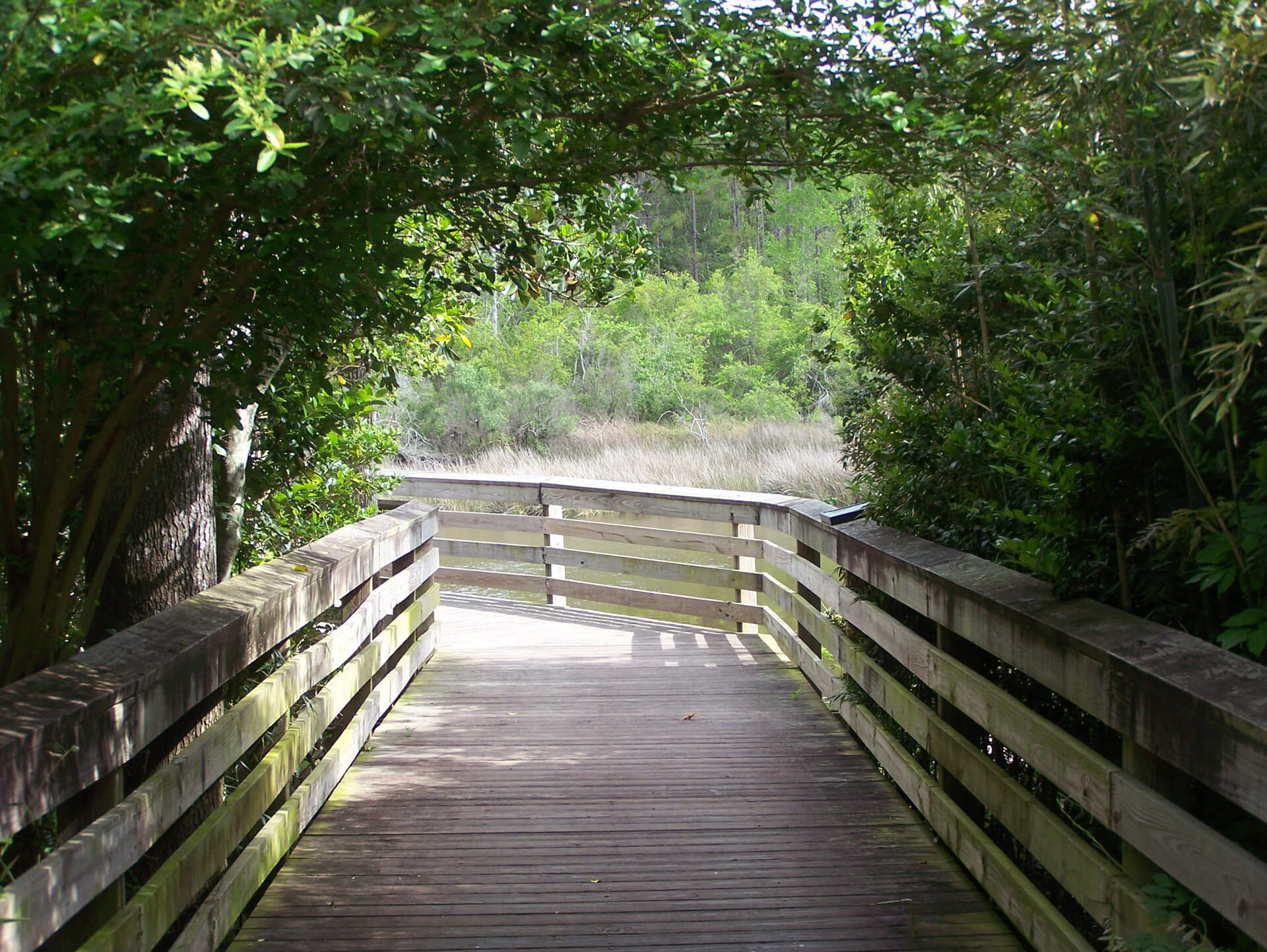 wooden pier walkway