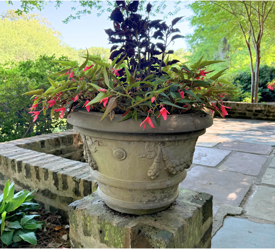 Container Adoption that can be purchased as a tribute or commemorative gift.