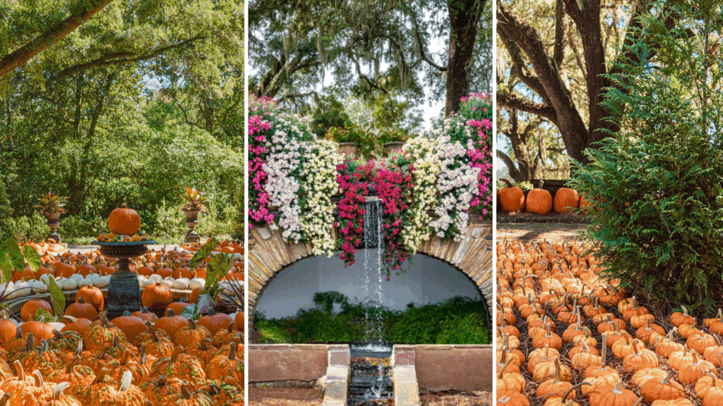 The Great Bellingrath Harvest