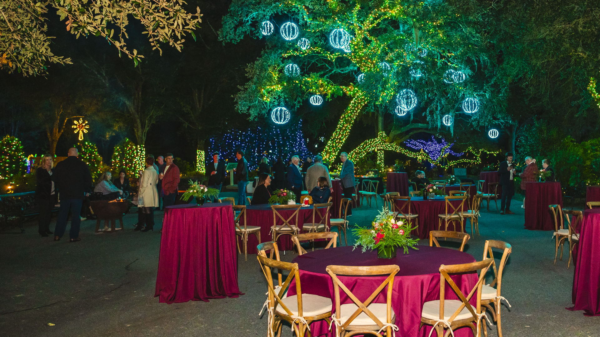 Magic Christmas in Lights Preview Party