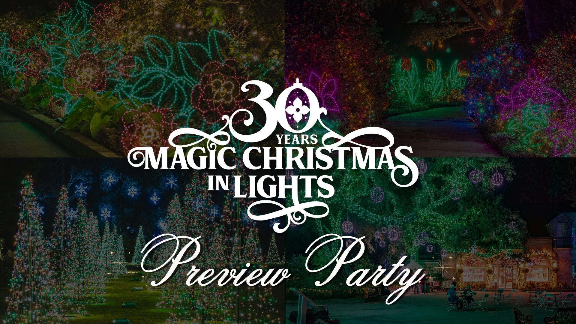 Magic Christmas in Lights Preview Party Image